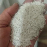 برنج فجر سوزنی