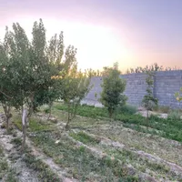 آب شیرین/برقدار/باغ /چهاردیواری|فروش زمین و ملک کلنگی|اصفهان, اشکاوند|دیوار