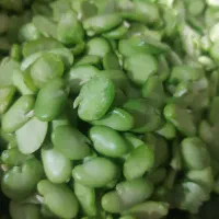 باقالی تازه