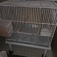 قفس سالنی ۵۰×۵۰