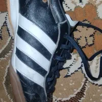 کفش سالن|کیف، کفش، کمربند|فردوس (خراسان), |دیوار