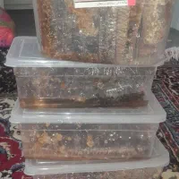 عسل درمانی|خوردنی و آشامیدنی|تیکمه داش, |دیوار