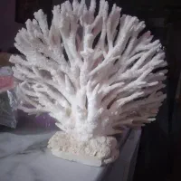 وسایل تزئینی