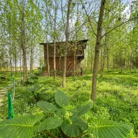 ویلای مجهز با امکان خرید اقساطی