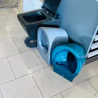 انواع فرنگی و والهنگ وارداتی در رنگ بندی