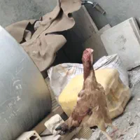 مرغ لاری اصیل نژادار|حیوانات مزرعه|مشهد, خلق آباد سفلی|دیوار