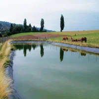 فروش ورق ژئوممبران با کیفیت بالا|عمده‌فروشی|کرمان, |دیوار