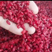 خریدار و فروش زرشک