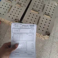 جوجه و نیمچه بوقلمون مرغ/خروس/گوشتی وبومی/تخممرغ|حیوانات مزرعه|تهران, آبشار|دیوار