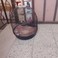سره