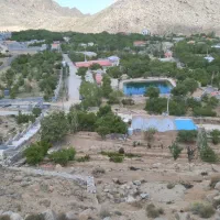 خروس و مرغ لاری