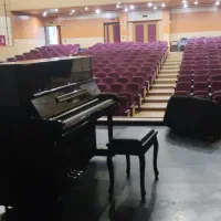 نوازندگی پیانو در مراسمات و ارگانها دولتی و خصوصی