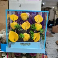 باکس گل