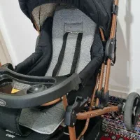 کالسکه دلیجان|کالسکه و لوازم جانبی|اردبیل, |دیوار