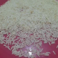 برنج اصل دم سیاه