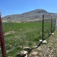 زمین کشاورزی