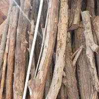 فروش چوب زغال و سوزوندنی  و خاک اره به قیمت عمده