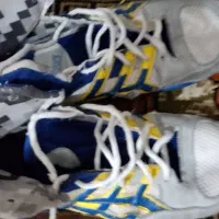 کفش کشتی|کیف، کفش، کمربند|قروه, |دیوار