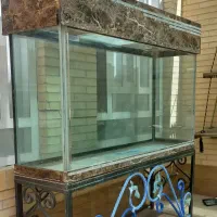 آکواریوم بزرگ و زیبا