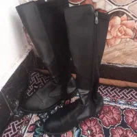 کفش در حد نوو