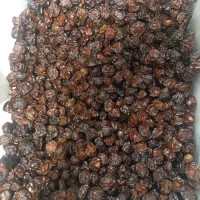 آلوچه ترش و شیرین (هلی)|خوردنی و آشامیدنی|دابودشت, |دیوار