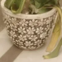 گلدان