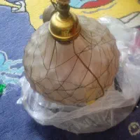 لوستز تک شاخ
