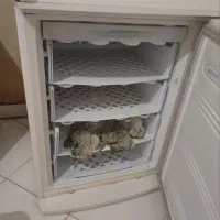 یخچال|یخچال و فریزر|مشهد, شهید معقول|دیوار