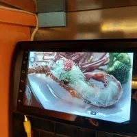 مانیتور دوربین دنده عقب چکی اقساطی بدون پیش پرداخت|قطعات یدکی و لوازم جانبی|مشهد, کوشش|دیوار