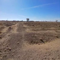 زمین|فروش زمین و ملک کلنگی|درگزین, |دیوار