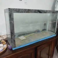 اکواریوم سالم