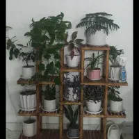 استند چوبی
