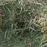 کاه باقله تمیز