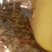 وسایل کشاورزی|ابزارآلات|سیسخت, |دیوار