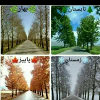 کرسی ساختمان