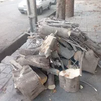 خریدانواع چوب باغی وارس باغ بابالاترین قیمت|خدمات باغبانی و درختکاری|گنبد کاووس, |دیوار