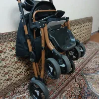 کالسکه دلیجان مدل بنیتا