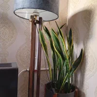 اباژور چوبی ایستاده