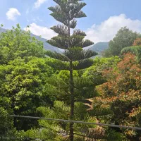 گلستان-80-متر-2-خواب-امکانات-کامل