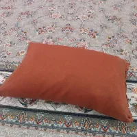 دوتا بالش