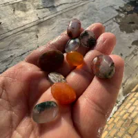 حراج پکهای اقتصادی عقیق