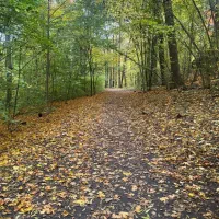 خونه باغ سنیج