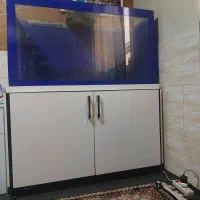 اکواریوم|ماهی|گلستان (تهران), |دیوار