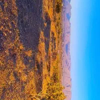 باغ ملک انجیر