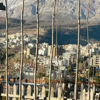 نیروی کار در کافه