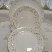 سرویس آرکوپال کف گل پارس