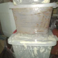 سطل پنیری ظرف حلوای