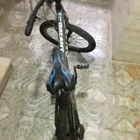 دوچرخه ۲۴|دوچرخه، اسکیت، اسکوتر|بوشهر, |دیوار