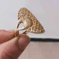 فروش انگشتر طلا|جواهرات|چرداول, |دیوار