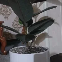 راهنماییم کنید